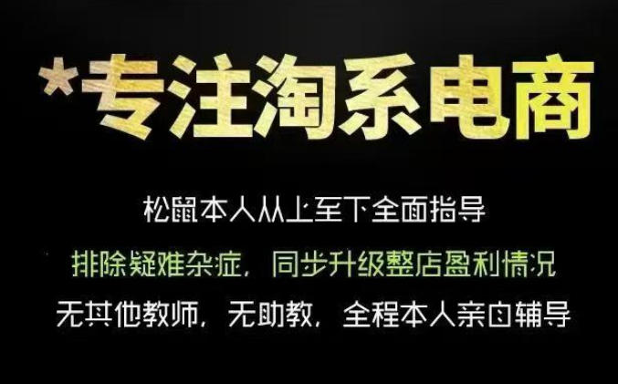 松鼠会电商VIP课程,从基础布局到高阶优化,助你掌握淘宝运营逻辑,提升店铺流量与转化(更新0917)